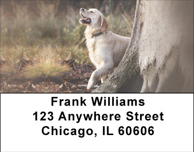 Labs For All Seasons Address Labels | LBBBB-11