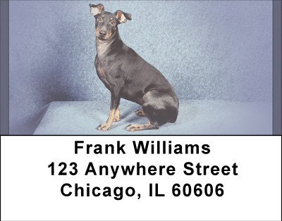 Menchester Terriers Address Labels | LBBBB-15