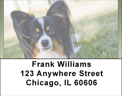Pampered Papillon Address Labels | LBBBB-16