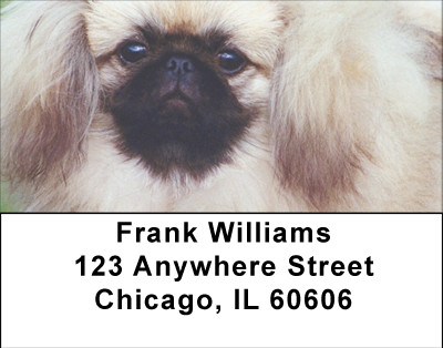 Perky Pekingese Address Labels | LBBBB-17