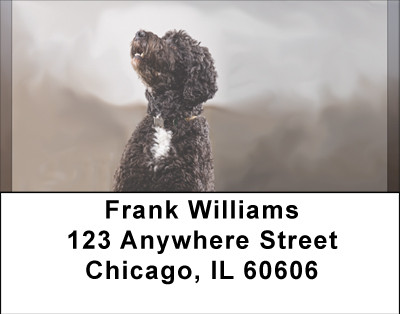 Portuguese Water Dogs Address Labels | LBBBB-20