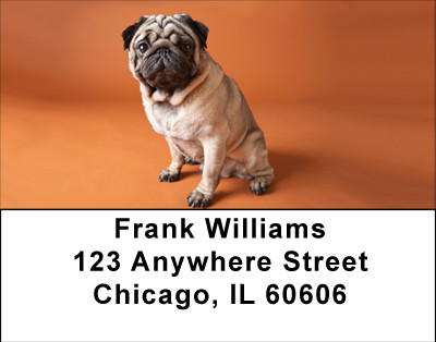 Pug Puppies Address Labels | LBBBB-21