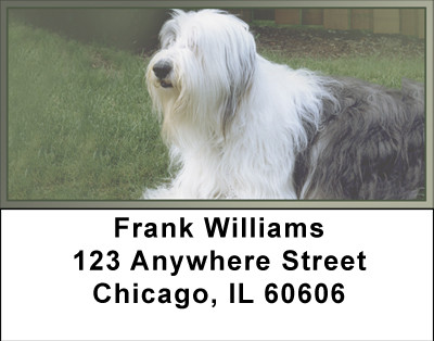 Sheepdogs Address Labels | LBBBB-23