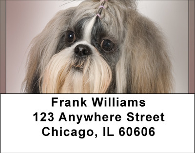 Shih Tzu Portraits Address Labels | LBBBB-25