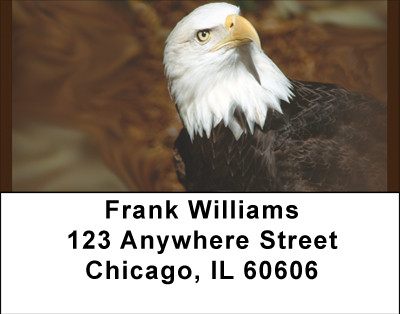 American Bald Eagles Address Labels | LBBBD-66