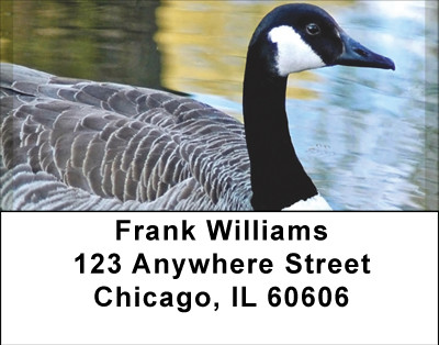 Canadian Goose Address Labels | LBBBD-75