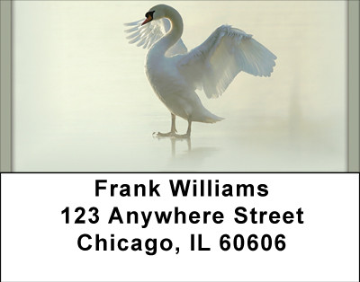 Stuck Address Labels | LBBBD-82