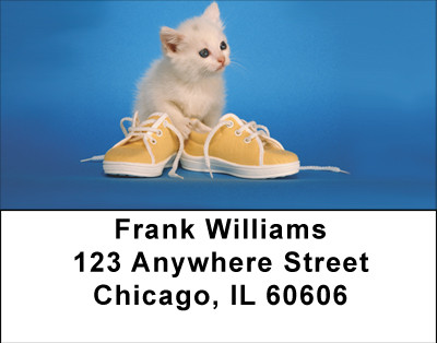 Kitten Curiosity Address Labels | LBBBD-86