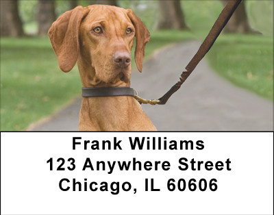 Loyal Hungarian Vizsla Address Labels | LBBBD-95