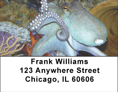 Oceans Of Octopus Address Labels | LBBBE-01