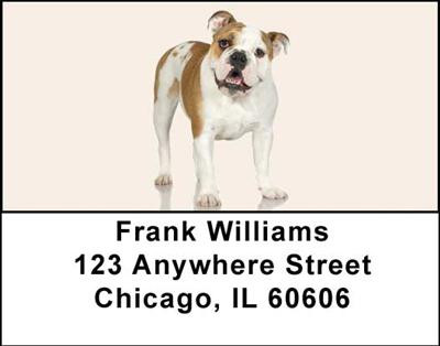 Bulldogs Address Labels | LBDOG-04