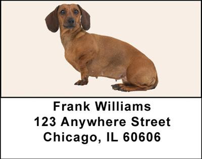 Dachshunds Address Labels | LBDOG-15
