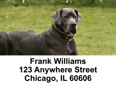 Great Danes Address Labels | LBDOG-17