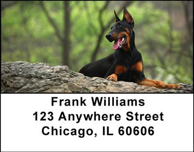 Dobermans Address Labels | LBDOG-20