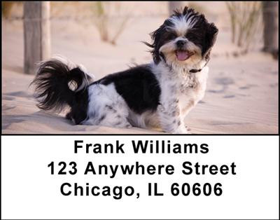 Shih Tzus Address Labels | LBDOG-22