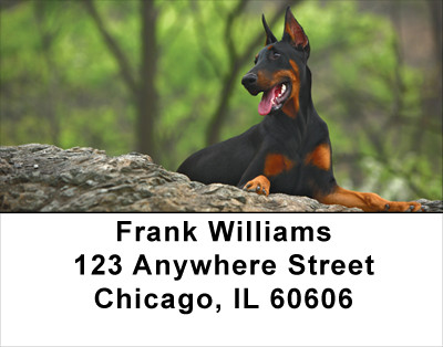 Alert and Watching Address Labels | LBDOG-26