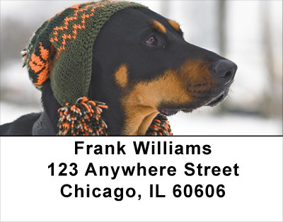 Fun Doberman Style Address Labels | LBDOG-27