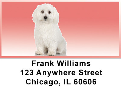 Adorable Bichons Address Labels | LBDOG-31