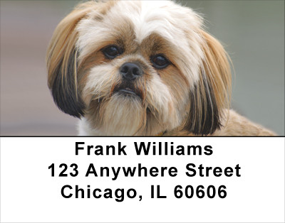 Lhasa Apso Puppy Address Labels | LBDOG-35