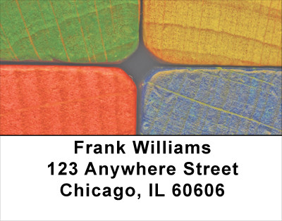 Creative Fun Address Labels | LBEDU-06