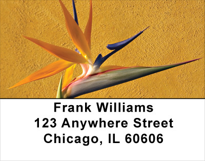 Blooming Paradise Address Labels | LBFLO-02