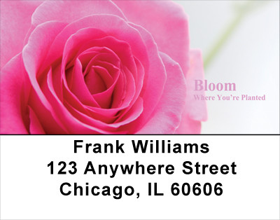 Bloom Where You're Planted Address Labels | LBFLO-04