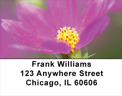 Blooming Closeups Address Labels | LBFLO-05