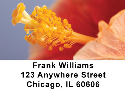 Bouquet of Hibiscus Address Labels | LBFLO-07
