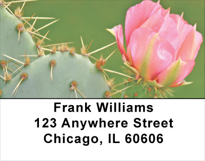 Desert In Bloom Address Labels | LBFLO-08