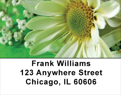 Daisies On Green Address Labels | LBFLO-14