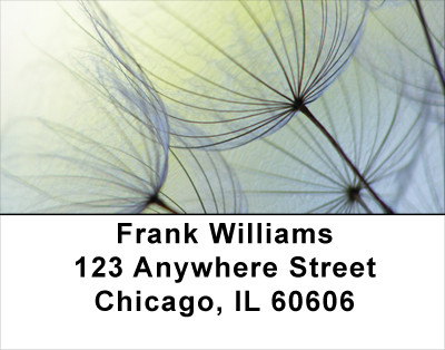 Dandelion Address Labels | LBFLO-15