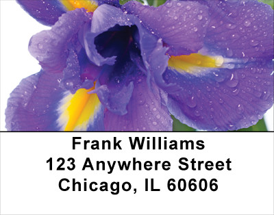Delightful Days Address Labels | LBFLO-16