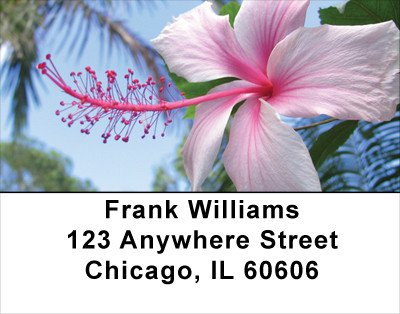 Hibiscus Address Labels | LBFLO-19