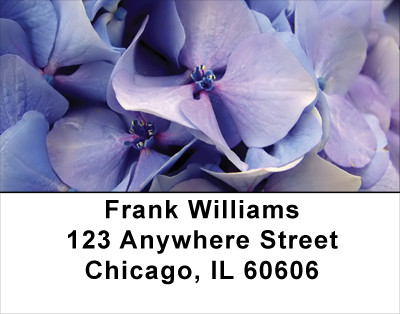 Hydrangea Address Labels | LBFLO-20