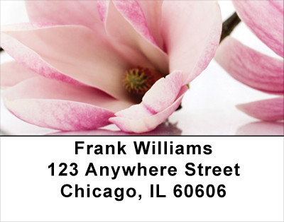 Magnolia Address Labels | LBFLO-30