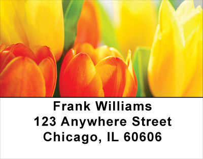 Tulip Temptations Address Labels | LBFLO-45