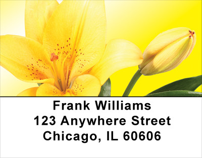Mellow Yellow Address Labels | LBFLO-49
