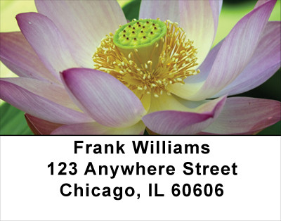 Mixed Floral Bouquet Address Labels | LBFLO-50