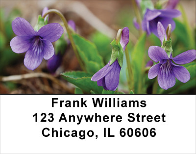Violets Address Labels | LBFLO-53