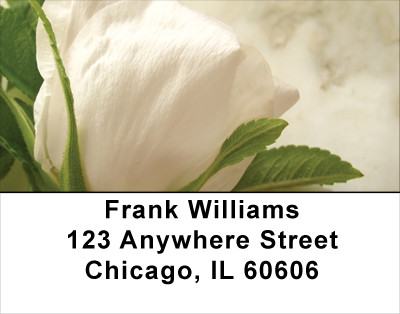 Yellow And White Florals Address Labels | LBFLO-55