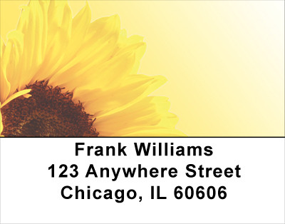 Sunny Sunflowers Address Labels | LBFLO-61