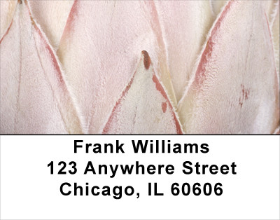 Protea Address Labels | LBFLO-70