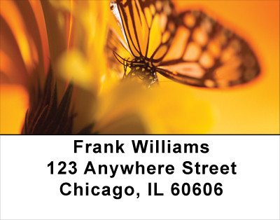 Golden New Day Address Labels | LBFLO-71