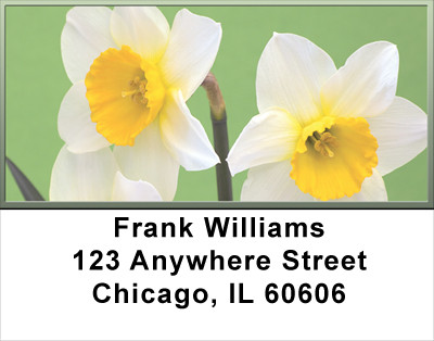 Dreamy Daffodils Address Labels | LBFLO-72