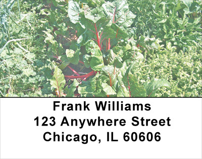 Veggie Garden Address Labels | LBFOD-26