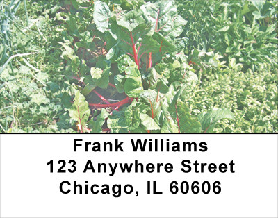 Veggie Garden Address Labels | LBFOD-26