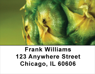 Pineapple Abstracts Address Labels | LBFOD-42