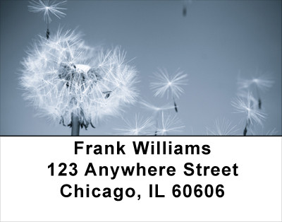 Put Dreams Into Motion Address Labels | LBFUN-62