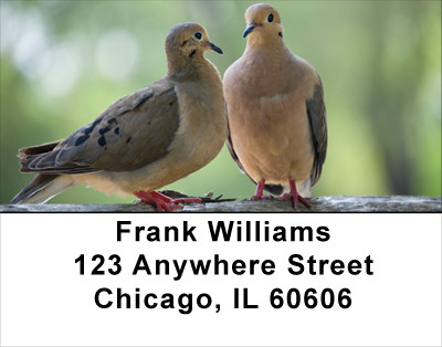 Love Birds Are Everywhere Address Labels | LBLOV-02