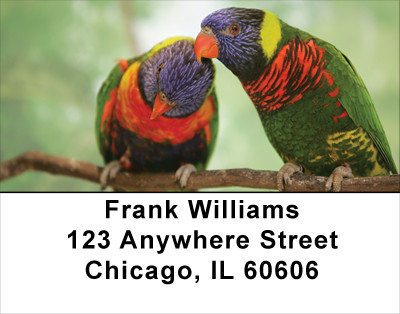Love Birds In The Tropics Address Labels | LBLOV-04